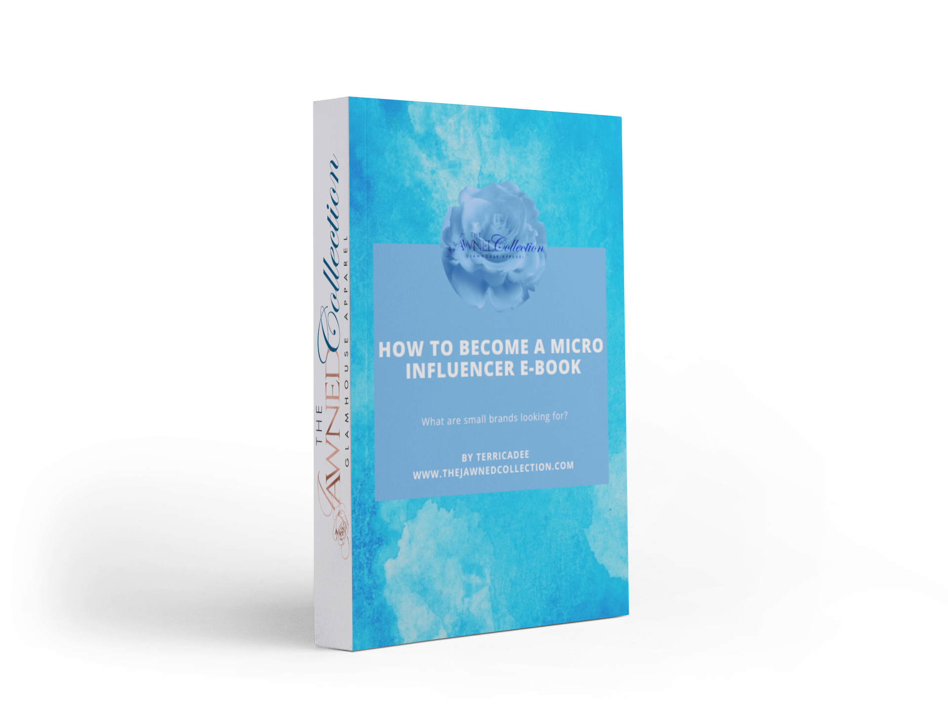 FREEBIE - How To Become a MicroInfluencer E-book